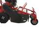 Blue Bird FM600 - Desbrozadora profesional de martillos - Loncin LC175F-2