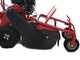 Blue Bird FM600 - Desbrozadora profesional de martillos - Loncin LC175F-2