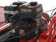 Blue Bird FM600 - Desbrozadora profesional de martillos - Loncin LC175F-2