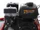 Blue Bird FM600 - Desbrozadora profesional de martillos - Loncin LC175F-2