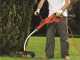 Black &amp; Decker GL8033-QS - Cortabordes el&eacute;ctrico - 800 W