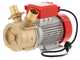 Rover BE-M 50 - Bomba el&eacute;ctrica de trasiego de bronce - Monof&aacute;sica - 230 V