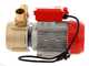 Rover BE-M 50 - Bomba el&eacute;ctrica de trasiego de bronce - Monof&aacute;sica - 230 V