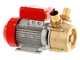 Rover BE-M 50 - Bomba el&eacute;ctrica de trasiego de bronce - Monof&aacute;sica - 230 V