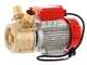 Rover BE-M 50 - Bomba el&eacute;ctrica de trasiego de bronce - Monof&aacute;sica - 230 V