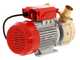 Rover BE-M 50 - Bomba el&eacute;ctrica de trasiego de bronce - Monof&aacute;sica - 230 V