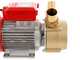 Rover BE-M 50 - Bomba el&eacute;ctrica de trasiego de bronce - Monof&aacute;sica - 230 V