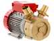 Rover BE-M 50 - Bomba el&eacute;ctrica de trasiego de bronce - Monof&aacute;sica - 230 V