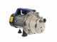 Bomba autocebante de jard&iacute;n Annovi &amp; Reverberi  ARGP800X - cuerpo inoxidable - 800 W