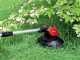 Einhell GE-CT 18 Li - Cortabordes de bater&iacute;a - 18V 2.5Ah