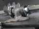 BlackStone BP 135 Hydro - Trituradora para tractor - Serie medio-pesada - Desplazamiento hidr&aacute;ulico
