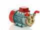 Rover Marina 20 - Bomba el&eacute;ctrica de trasiego de bronce - 12 V