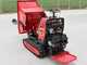 GeoTech-Pro Geoporter 550 DHS Hydro - Carretilla de orugas con caj&oacute;n dumper hidr&aacute;ulico de 500 kg - Cambio hidrost&aacute;tico
