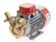 Rover Marina 25 - Bomba el&eacute;ctrica de trasiego de bronce - 12 V