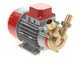 Rover Marina 25 - Bomba el&eacute;ctrica de trasiego de bronce - 12 V