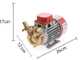 Rover Marina 25 - Bomba el&eacute;ctrica de trasiego de bronce - 12 V