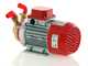 Rover Marina 20 - Bomba el&eacute;ctrica de trasiego de bronce - 24 V