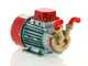 Rover Marina 20 - Bomba el&eacute;ctrica de trasiego de bronce - 24 V