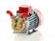 Rover Marina 20 - Bomba el&eacute;ctrica de trasiego de bronce - 24 V