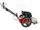 Blue Bird FLO Pro Speed 6HO - Desbrozadora de gasolina - Cuchilla e hilo - Honda GCV200