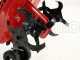 Eurosystems Z2 - Motoazada de gasolina 3.5 HP - Motor Briggs&amp;Stratton 450