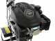 Alpina ATL 36 V - Motoazada de gasolina 4 HP - Alpina ST 120 OHV de 123 cc