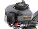 Blackstone TIL-B 360 - Motoazada de gasolina de 5 HP - Motor Ducar de 150cc