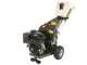 BlackStone DSP 150 BS - Biotrituradora de gasolina - Motor Briggs &amp; Stratton de 420cc