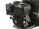 BlackStone DSP 150 BS - Biotrituradora de gasolina - Motor Briggs &amp; Stratton de 420cc