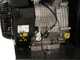 BlackStone DSP 150 BS - Biotrituradora de gasolina - Motor Briggs &amp; Stratton de 420cc