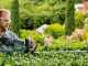 Cortasetos el&eacute;ctrico Bosch Universal Hedgecut 50 - Espada de 50 cm - 480 W