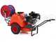 Carretilla fumigadora - Bomba Comet MTP MC 25 Loncin - Carro Dal Degan con dep&oacute;sito 150L 