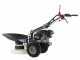 Eurosystems P55 - Motosegadora multifunci&oacute;n rotativa - Honda GCVX 170