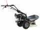 Eurosystems P55 - Motosegadora multifunci&oacute;n rotativa - Honda GCVX 170
