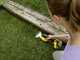 Karcher GSH 18-20 - Tijeras cortac&eacute;sped de bater&iacute;a - Cortasetos - 18V 2.5Ah