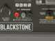 BlackStone BG 9050 - Generador de corriente con ruedas a gasolina con AVR 6.6 kW - Continua 6 kW Full-Power