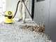 Karcher WD 3 - Aspirador multifunci&oacute;n a bater&iacute;a  - BATER&Iacute;A Y CARGADOR NO INCLUIDOS