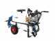 Carretilla fumigadora Lavor CRL 50 MISTING - motor el&eacute;ctrico monof&aacute;sico
