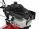 Blue Bird MZ 65 PH - Motoazada motor Honda GCV 160 - monomarcha