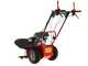 Blue Bird Alhambra TS PRO H0 - Motosegadora rotativa - Honda GCV 200