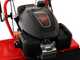 Blue Bird Alhambra TS PRO H0 - Motosegadora rotativa - Honda GCV 200
