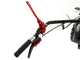 Eurosystems GMP 210 H - Motosegadora de doble cuchilla - Honda GCVx