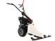 Eurosystems GMP 210 H - Motosegadora de doble cuchilla - Honda GCVx
