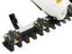 Eurosystems GMP 210 H - Motosegadora de doble cuchilla - Honda GCVx