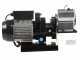 Reber 9602N-8900N N.5 - Rallador el&eacute;ctrico - Motor de inducci&oacute;n - 600W