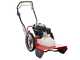 Blue Bird FLO Speed 6HO - Desbrozadora de gasolina - Cuchilla e hilo - Honda GCVx170