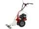 Eurosystems M90 - Motosegadora monocuchilla - B&amp;S 625 EXi