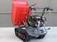 Carretilla de orugas con motor BLUE BIRD Transporter 500 D - Caja dumper con capacidad de 500 Kg
