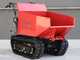 Carretilla de orugas con motor BLUE BIRD Transporter 500 D - Caja dumper con capacidad de 500 Kg