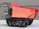 Carretilla de orugas con motor BLUE BIRD Transporter 500 D - Caja dumper con capacidad de 500 Kg